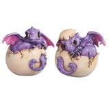 Purple Dragon Baby in Egg