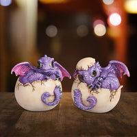 Purple Dragon Baby in Egg