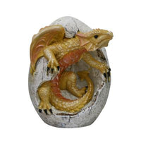 Yellow Dragon Hatching